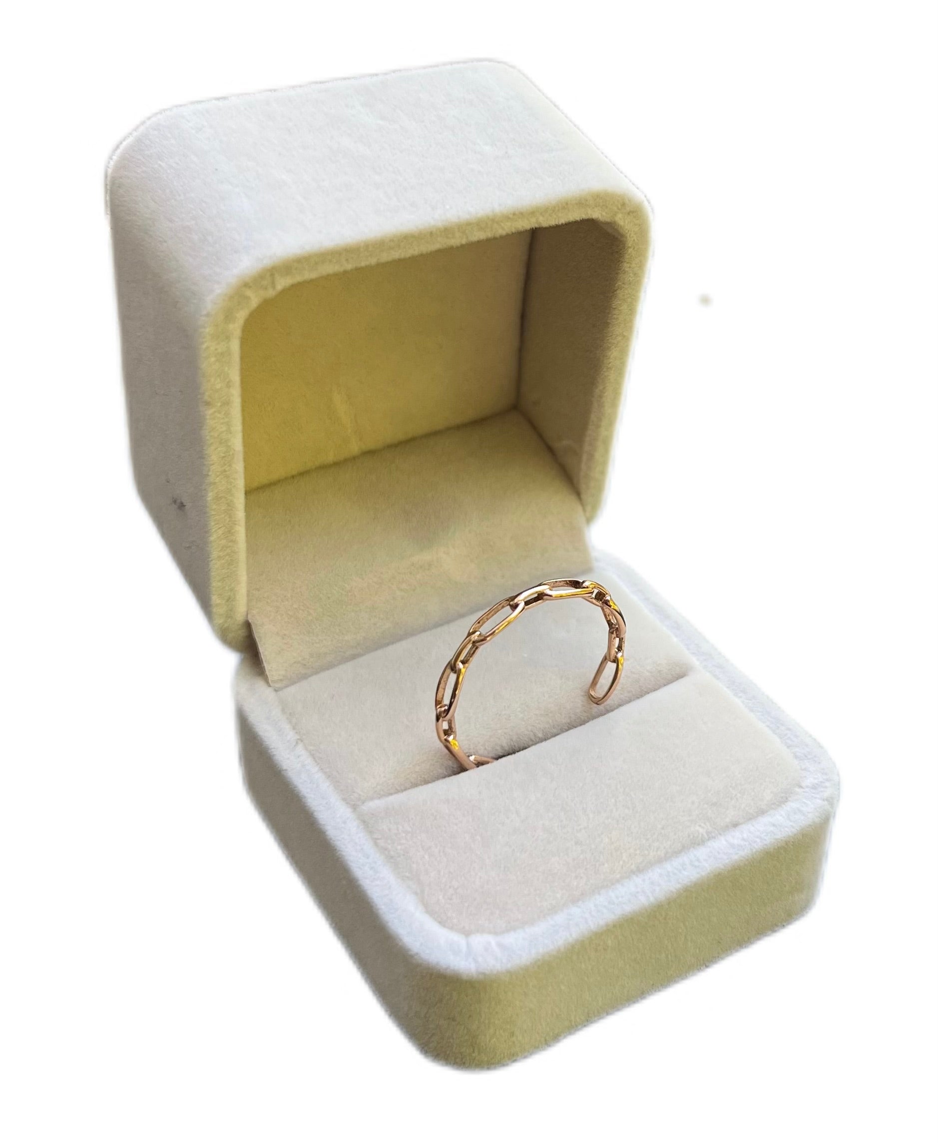 Chain Ring