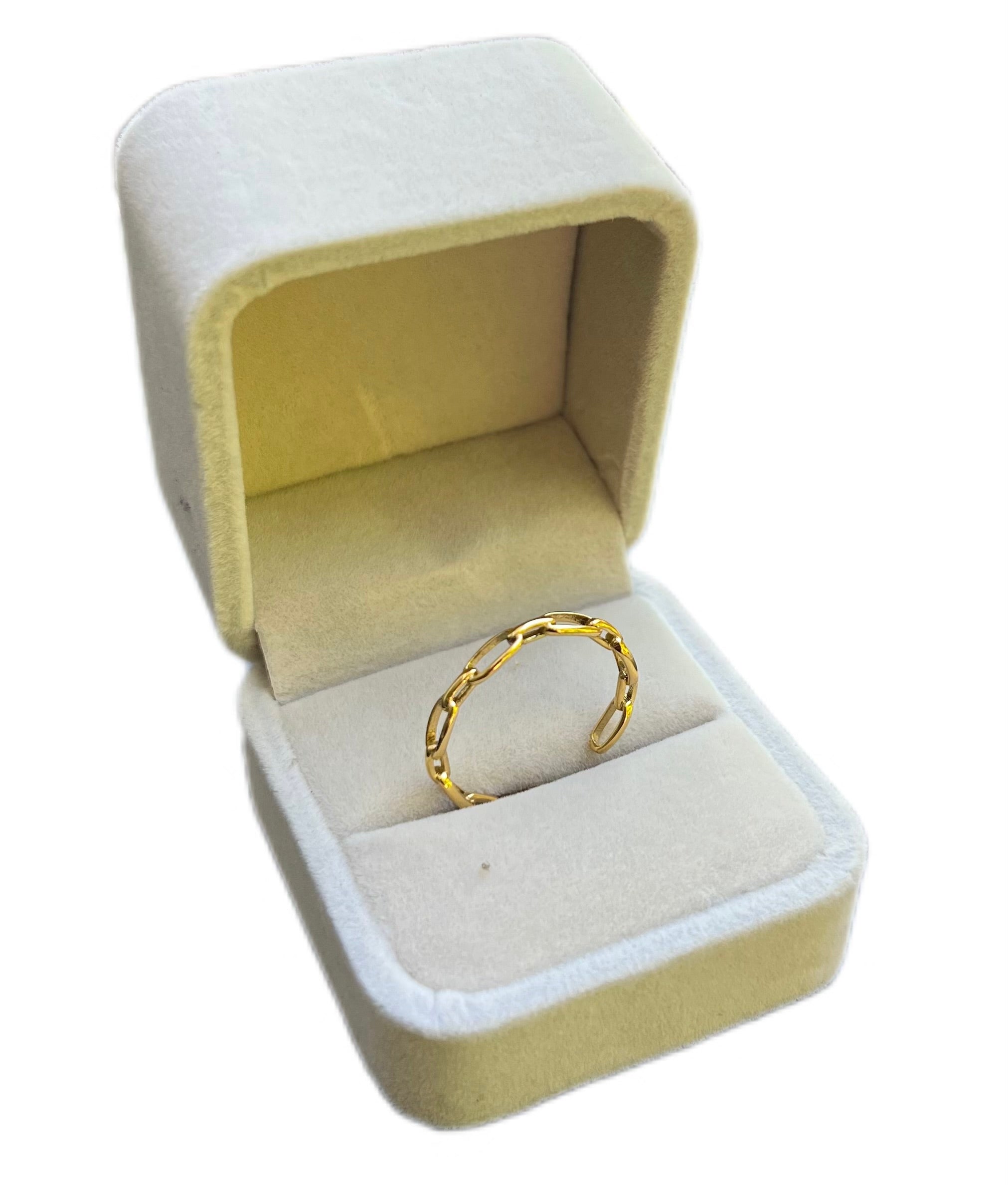 Chain Ring