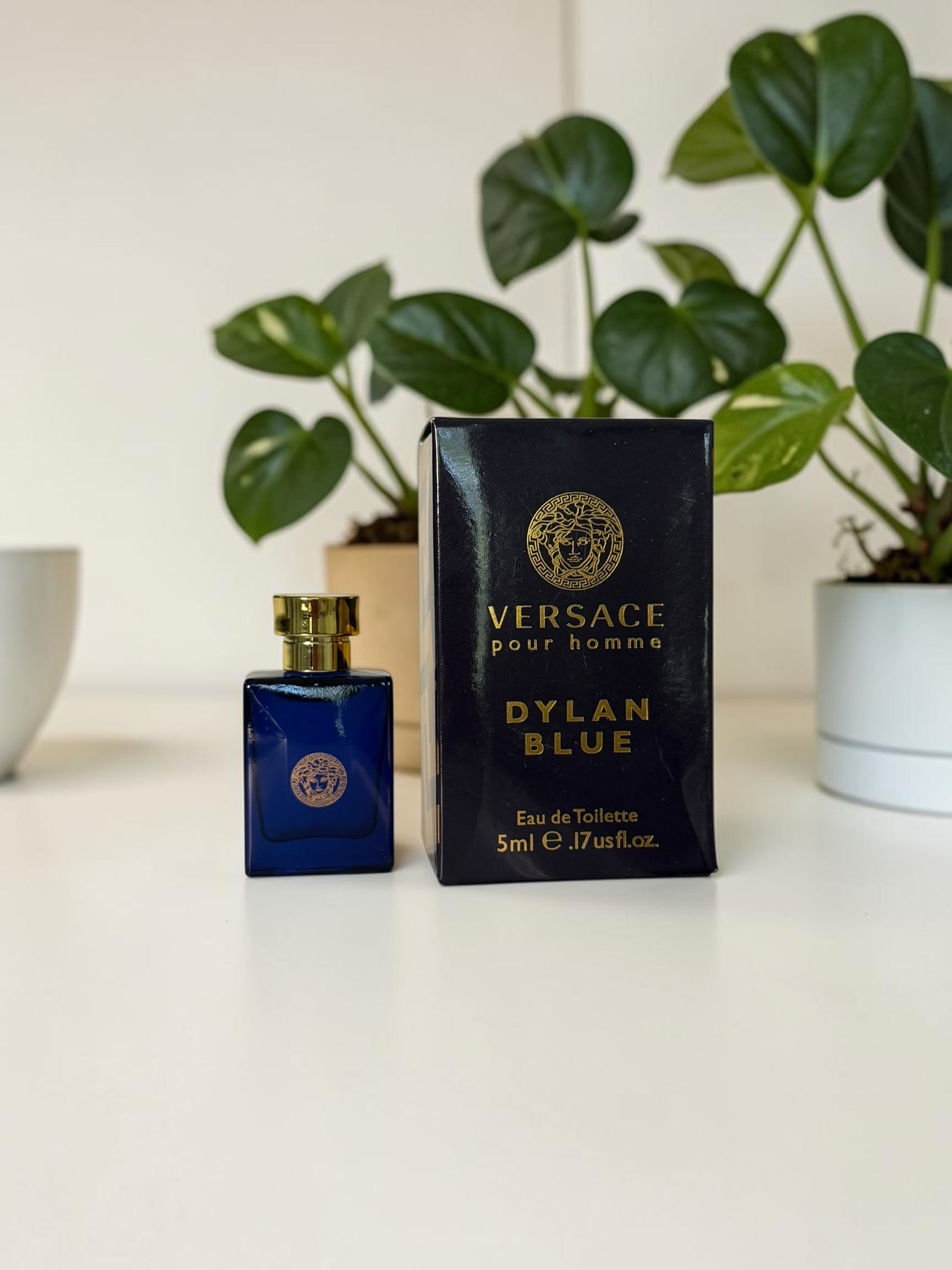 Versace Dylan Blue