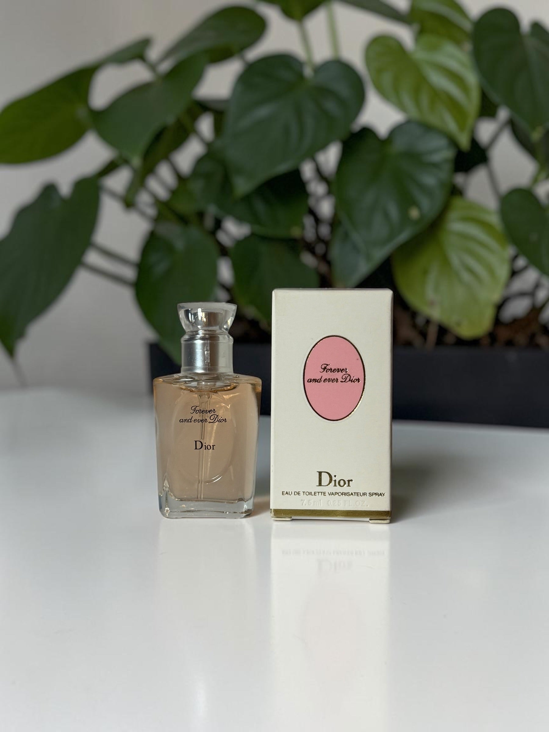 F&E Dior
